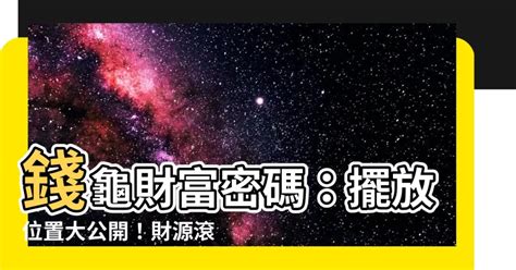 錢龜擺放位置|錢龜怎麼放？財運亨通的擺放學問